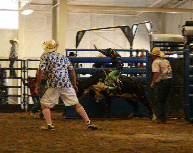 Out of the chute. Photo by Dawn Ballou, Pinedale Online.