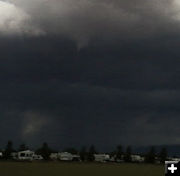 Small funnel close-up. Photo by Kathy Sandmeier.