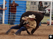 Steer Wrestling. Photo by Clint Gilchrist, Pinedale Online.