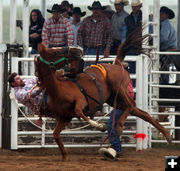 Ranch Bronc Riding. Photo by Clint Gilchrist, Pinedale Online.