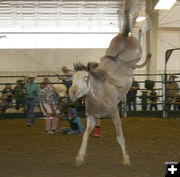 Bareback. Photo by Dawn Ballou, Pinedale Online.