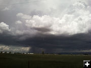 Funnel. Photo by Kathy Sandmeier.