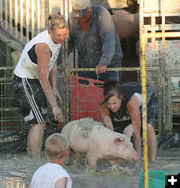 Mudding the pigs. Photo by Dawn Ballou, Pinedale Online.