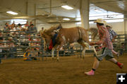 Upside Down. Photo by Dawn Ballou, Pinedale Online.