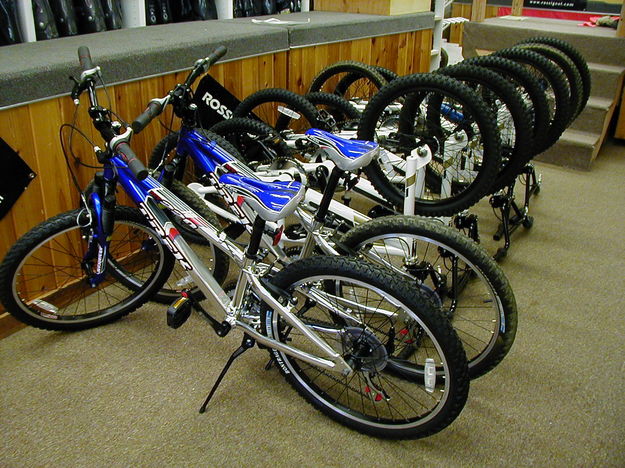 Mountain Biking. Photo by Dawn Ballou, Pinedale Online.