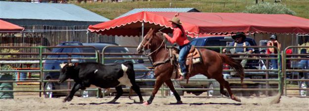 Womens Steer Stopping. Photo by Carie Whitman.