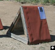 Chicken coup. Photo by Dawn Ballou, Pinedale Online.