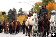 Box R Horse Drive. Photo by Megan Rawlins, Pinedale Roundup.