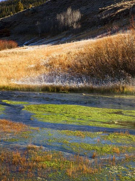 Warm Springs. Photo by Dave Bell.