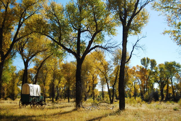 Lander Trail New Fork Park. Photo by Derek Farr.