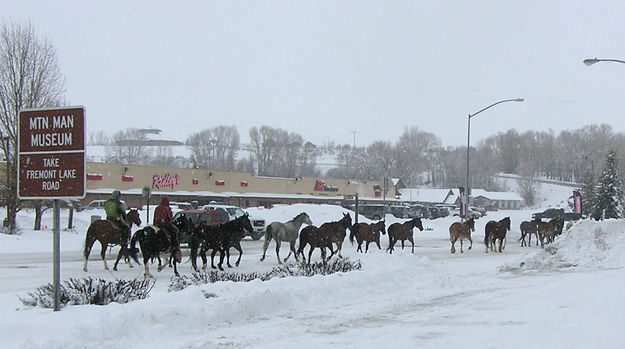 Horse Drive. Photo by Bob Rule, KPIN 101.1FM Radio.