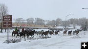 Horse Drive. Photo by Bob Rule, KPIN 101.1FM Radio.