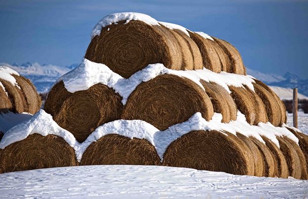 Hay Bale Pyramid. Photo by Dave Bell.