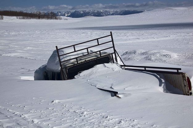 Buried until spring. Photo by Dave Ball.