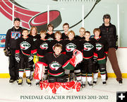 2011-2012 Pinedale Glacier Peewees. Photo by Natalie B Photography.