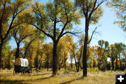 Lander Trail New Fork Crossing Park. Photo by Sublette County Historical Society.