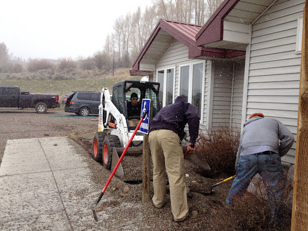 Planting shrubs. Photo by Ana Cuprill.