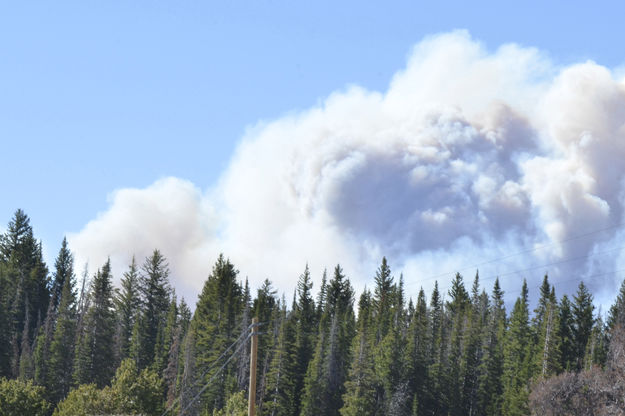 Smoke. Photo by Tyler Foster.