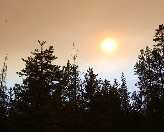 Smoky sky from New Fork. Photo by Tara Barnes.