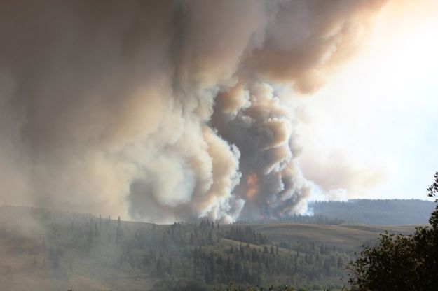 Thick smoke . Photo by Karen Forrester.