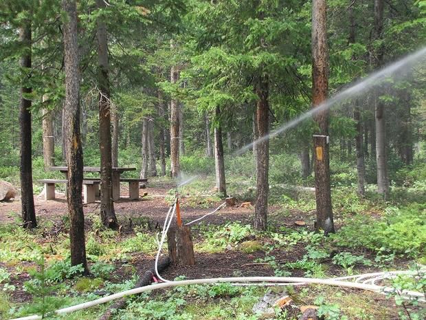 Protection at Sacajawea Campground. Photo by USFWS.