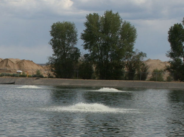 Aeration. Photo by Dawn Ballou, Pinedale Online.