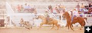 Calf Roping. Photo by Tara Bolgiano, Blushing Crow Photography.