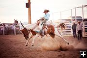 Hang on. Photo by Tara Bolgiano, Blushing Crow Photography.