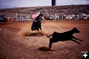 Calf Roping. Photo by Tara Bolgiano, Blushing Crow Photography.