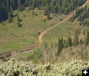 Steep trail. Photo by Dave Bell.