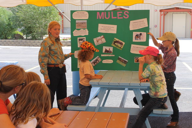 Learning about mules. Photo by Dawn Ballou, Pinedale Online.