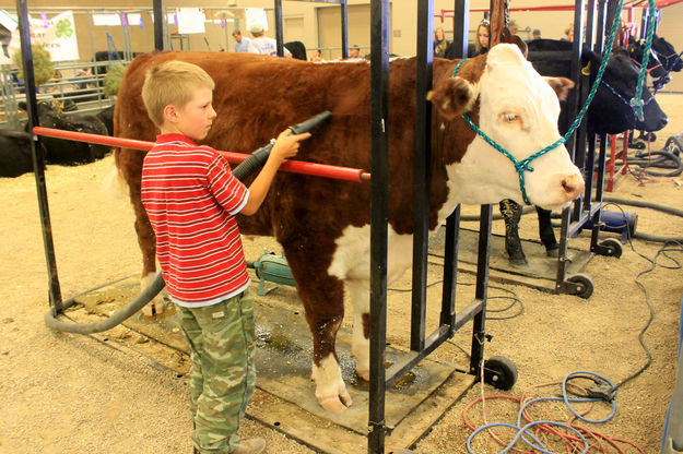 Getting ready. Photo by Dawn Ballou, Pinedale Online.