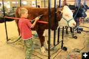 Getting ready. Photo by Dawn Ballou, Pinedale Online.