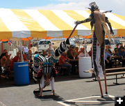 Limber. Photo by Dawn Ballou, Pinedale Online.