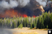 Fire up close. Photo by Julie Bain.