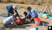 Digging squares. Photo by Dawn Ballou, Pinedale Online.