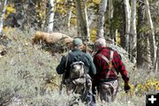 A hunting we will go. Photo by Megan Neher, Pinedale Roundup.