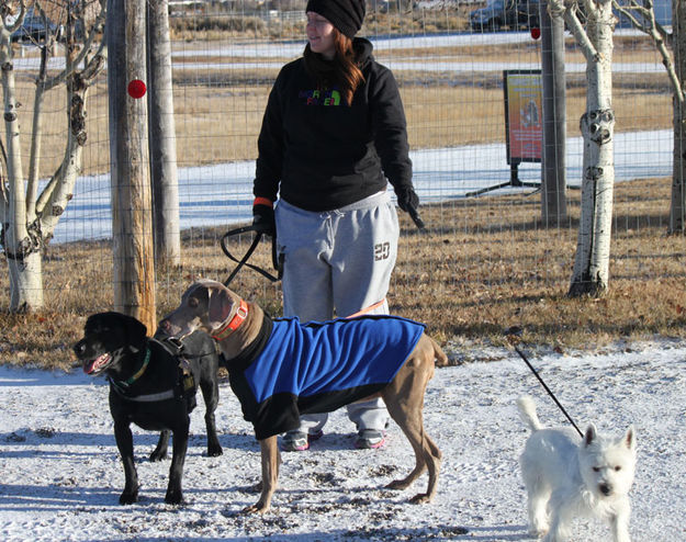 Dogs came along too. Photo by Wyatt Sheppard.