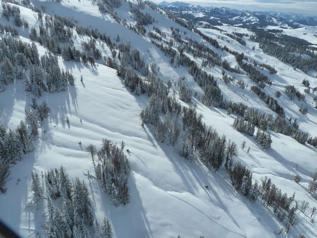 Search terrain. Photo by Tip Top Search and Rescue.