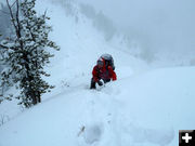 Ground search. Photo by Tip Top Search and Rescue.