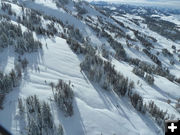 Search terrain. Photo by Tip Top Search and Rescue.