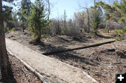 Trails meet. Photo by Dawn Ballou, Pinedale Online.