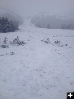 Granite Creek avalanche. Photo by Bridger-Teton Avalanche Center.