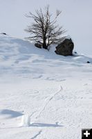 Path down the hill. Photo by Arnold Brokling.