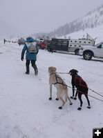 To the Start Line. Photo by Joy Ufford.