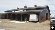 Stalls. Photo by Dawn Ballou, Pinedale Online.