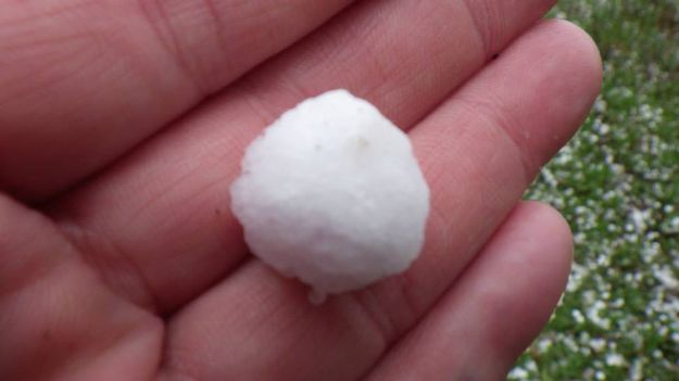 Large hail. Photo by Kathy Raper.