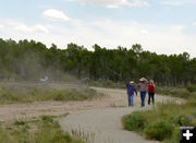 Walking path and wind. Photo by Terry Allen.