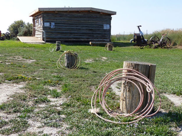 Roping. Photo by Dawn Ballou, Pinedale Online.