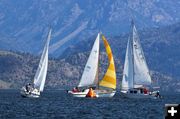 Traffic Jam. Photo by Dave Bell.